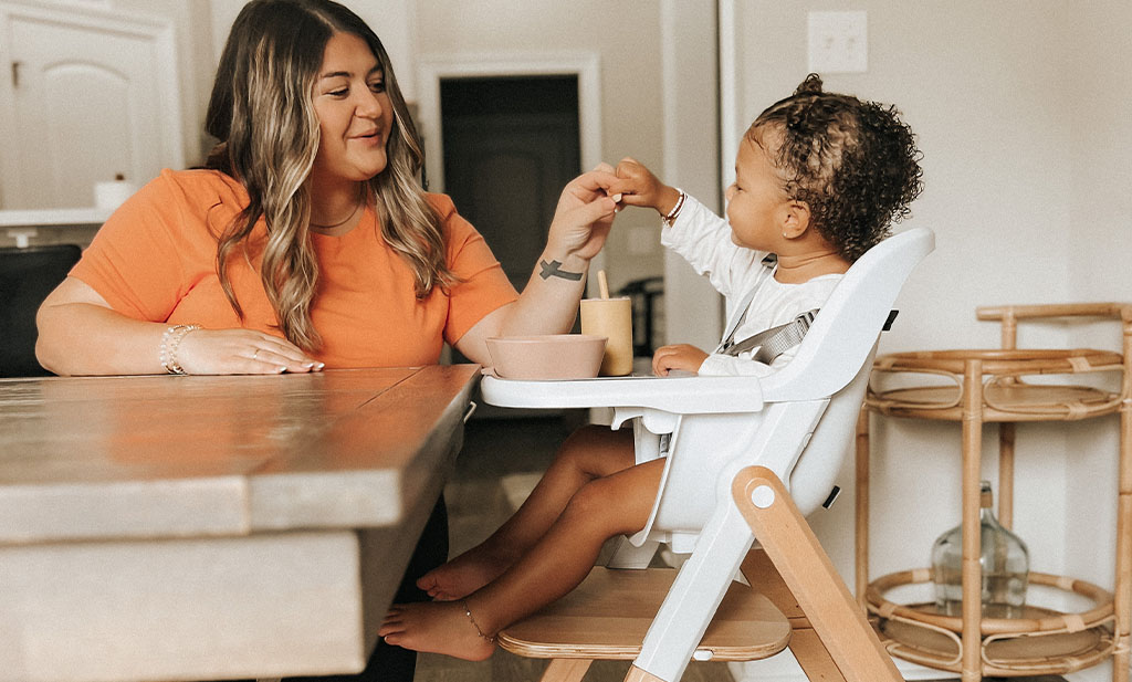 Ergobaby Highchair