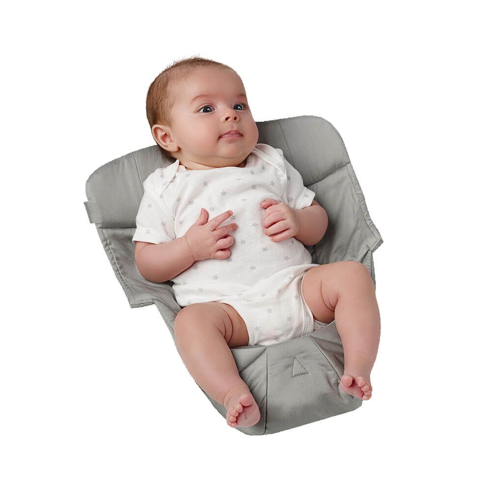 Ergobaby 2025 infant insert