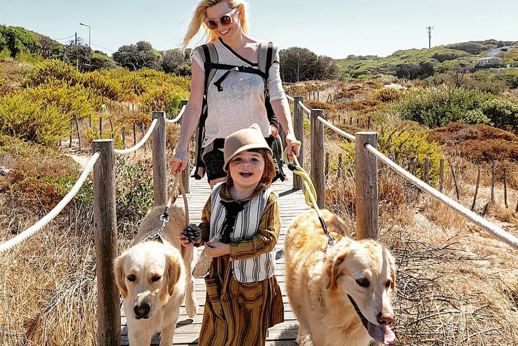 Baby Carrier : A Dog Loving Parent&#039;s Best Friend